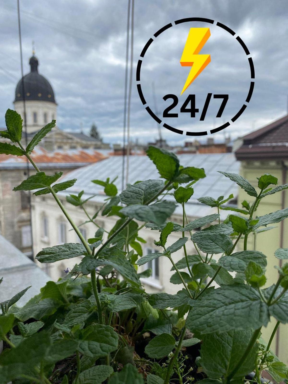 Вул Краківська 34 Не Далеко Від Ж Д Вокзалу Звітні Документи Daire Lviv Dış mekan fotoğraf